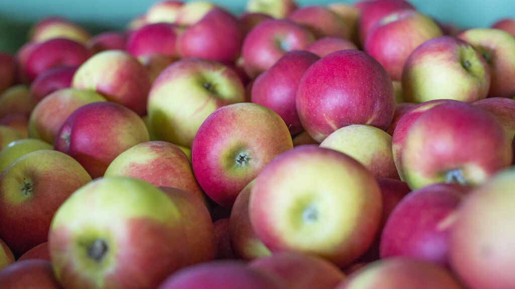 Pommes - Fruit-Union Suisse