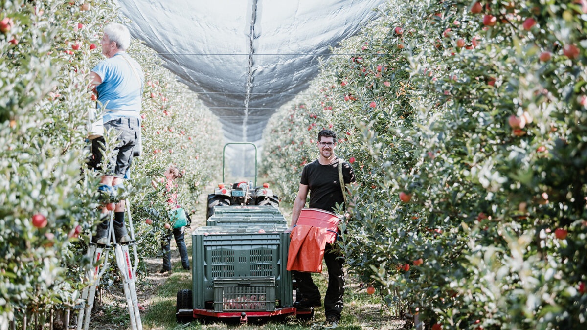 Tag Des Apfels Im Zeichen Der Nachhaltigkeit Schweizer Obstverband